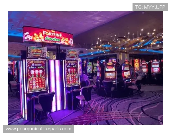 真人版老虎机游戏有哪些特色，揭秘真实场景互动玩法带来前所未有的娱乐体验