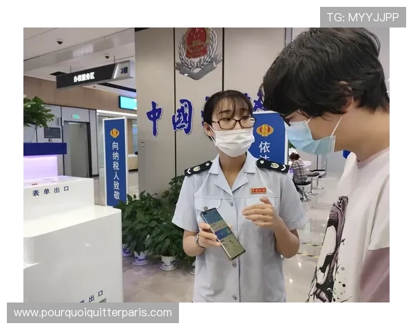 hub电子税务局全面介绍与使用指南帮助企业高效办理税务事项